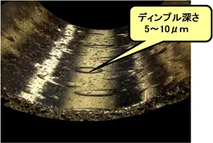 ディンブル3D顕微鏡写真