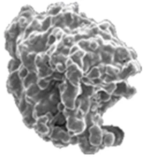 水アトマイズ鉄粉